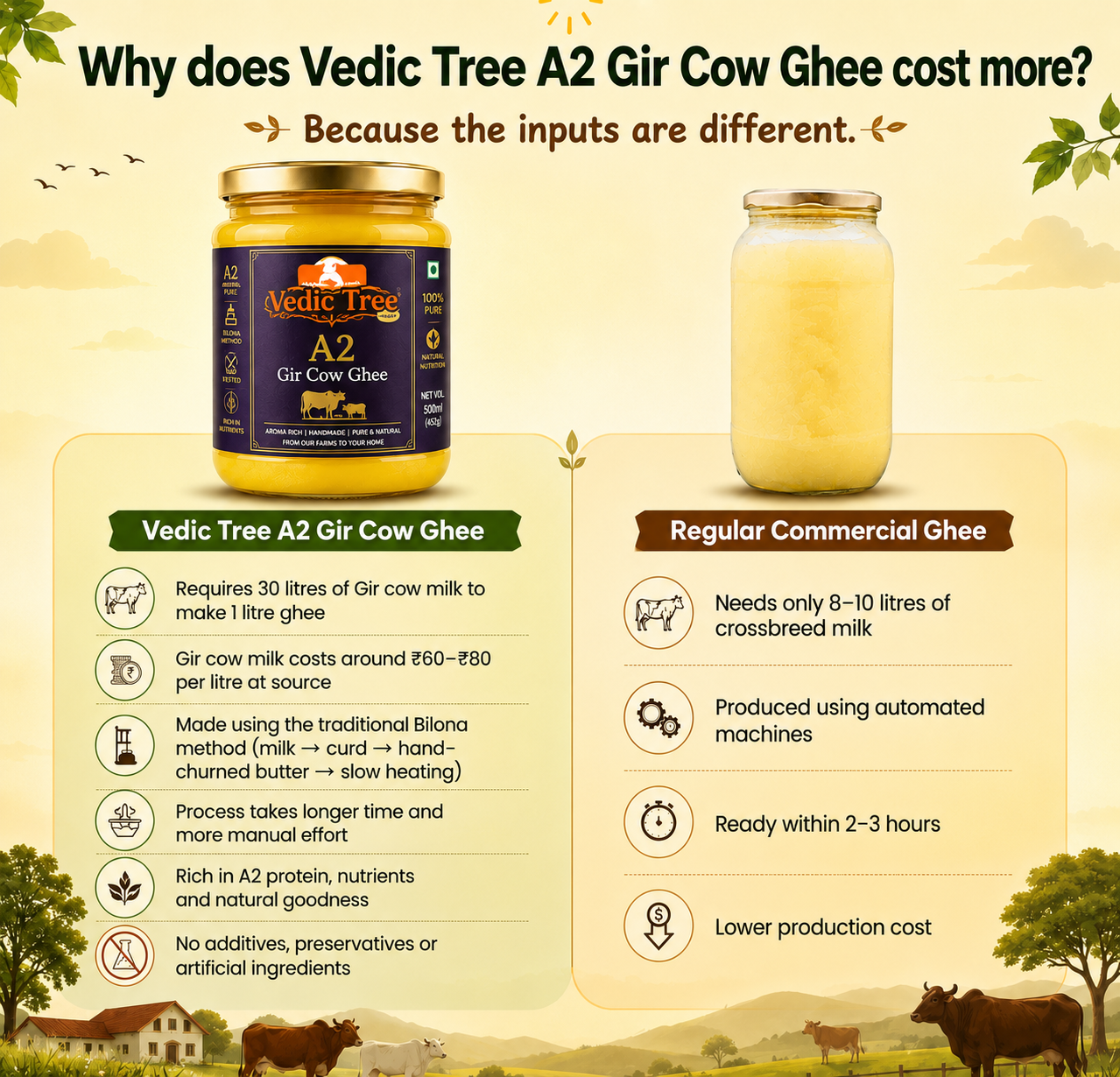 Vedic Ghee Benefits